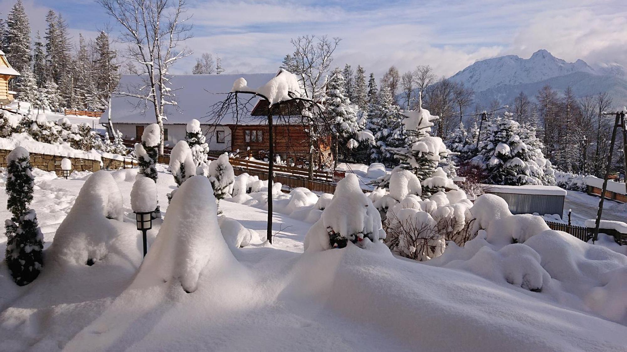 Appartamento Apartament Z Widokowym Tarasem Na Tatry Kościelisko Esterno foto